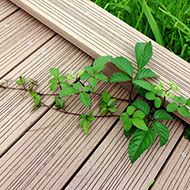 Plant collection