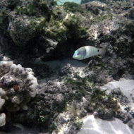 image02