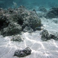 image03