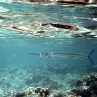 image08