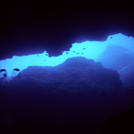 image10