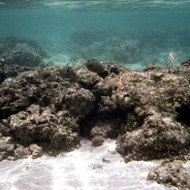 image11