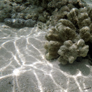 image12