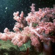 image32