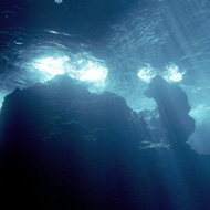 image33