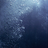 image38