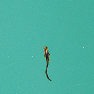 image05